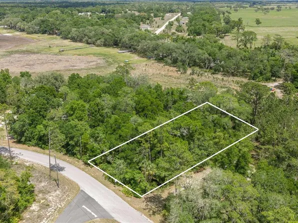 SW Shorewood Dr Lot 398, Dunnellon, FL 34431