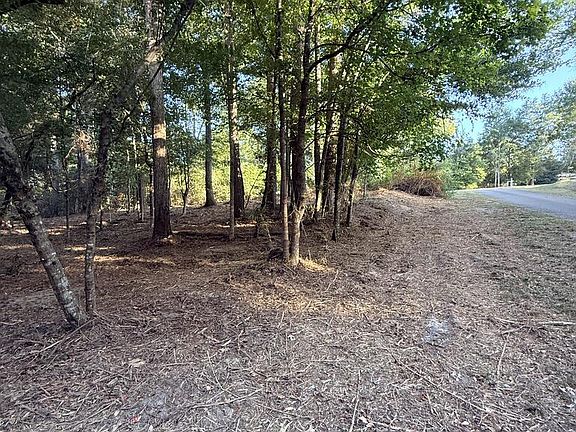 3rd image of Pid 36539 County Rd #185