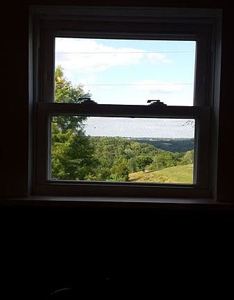 View from kitchen window