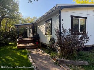 101 Prentice Trl, El Jebel, CO 81623