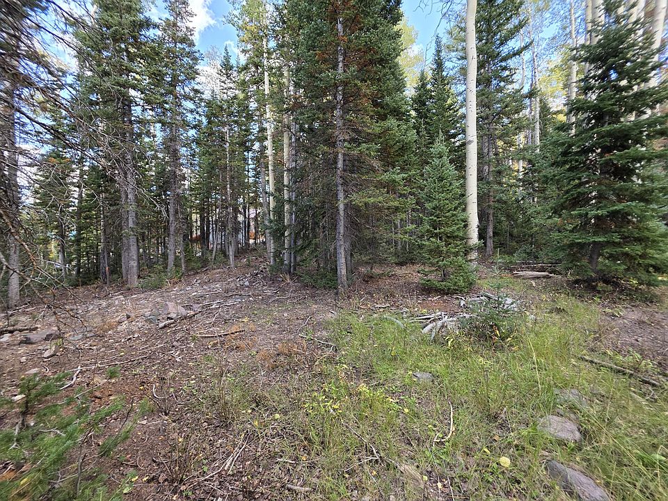 1st image of 214 E Deer Trail Rd
