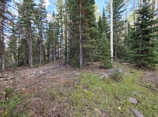 214 E Deer Trail Rd, Brian Head, UT 84719