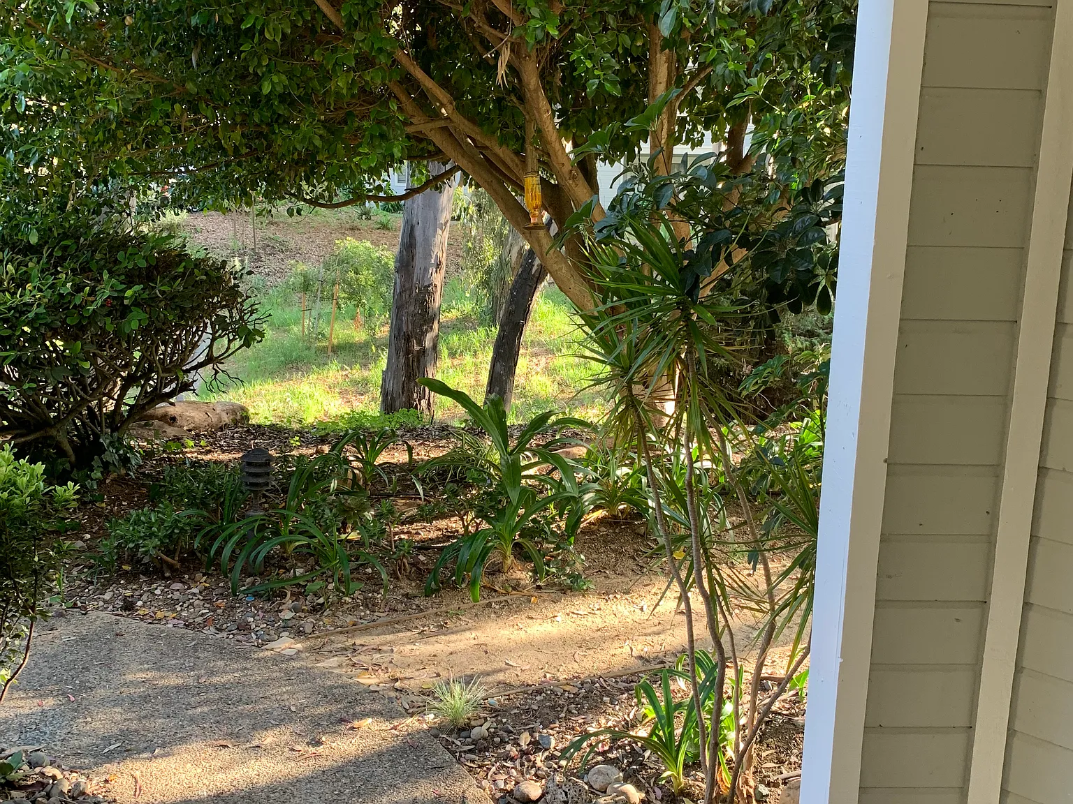 7636 Hollister Ave — Photo 3