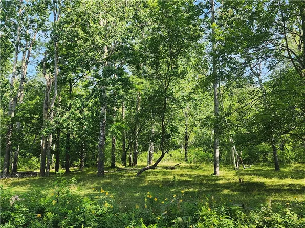 N2125 Narrow Gauge, Shell Lake, WI 54871