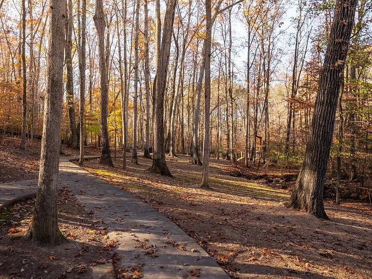 ARIUM Johns Creek — Photo 29
