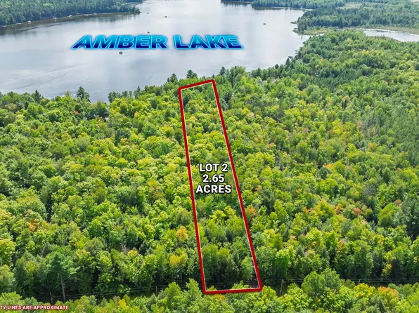 2 Loon Rd, Lake Tomahawk, WI 54539