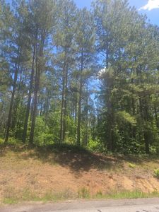 LOT 8 State Highway 123, Mitchell, GA, 30820