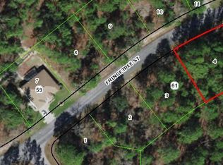 35 Fringetree St, Homosassa, FL 34446