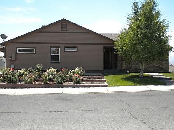 Manicured Yard