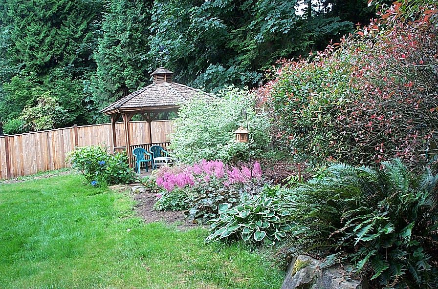 Summer Backyard 