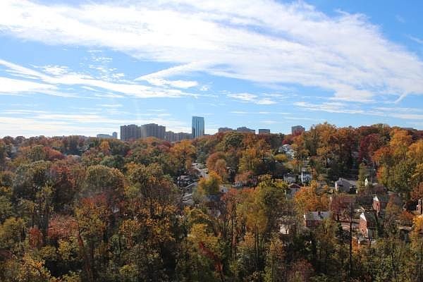 View from the Apartment