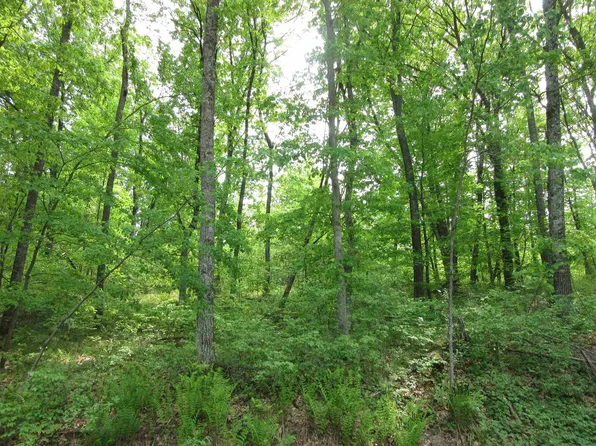 LOT 1 Fish Ln, Oxford, WI 53952