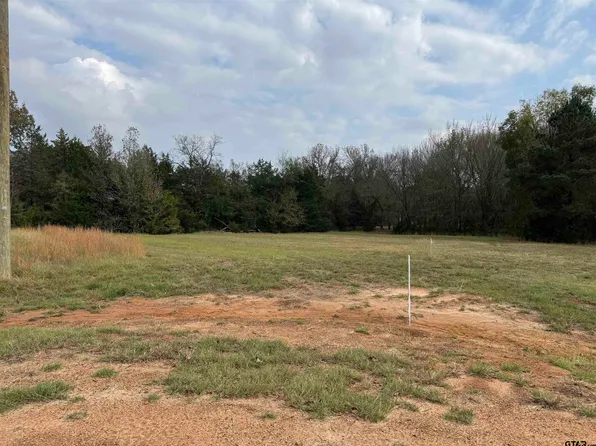 16 Hunters Hollow Dr, Mount Vernon, TX 75457