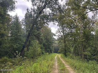 238 Riverside Cir, Wewahitchka, FL 32465