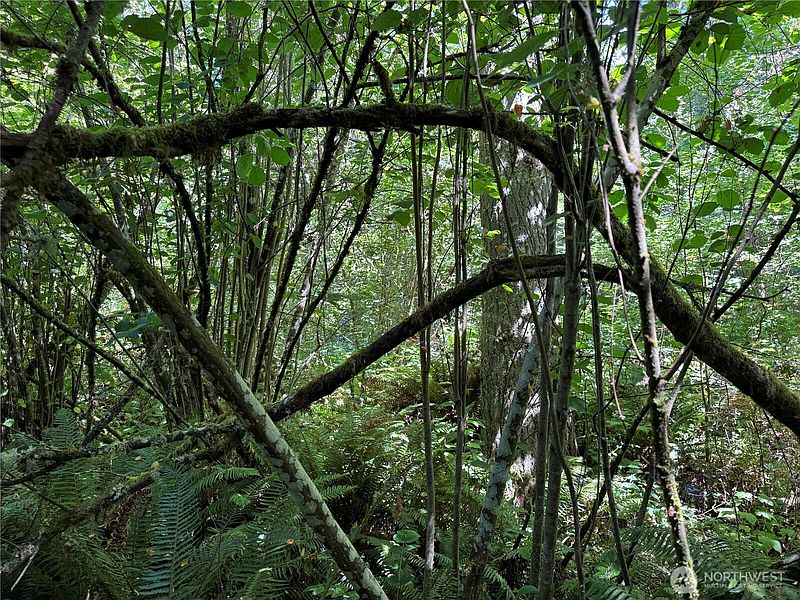 3rd image of 0 Chuckawa Lane SE