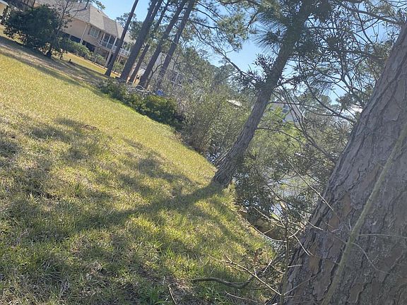 5th image of 105 Palmwood Dr