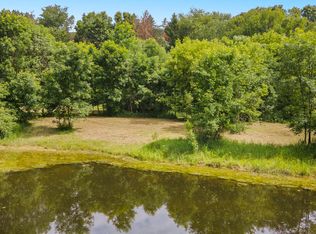 19600 Ivey Rd, Chelsea, MI 48118