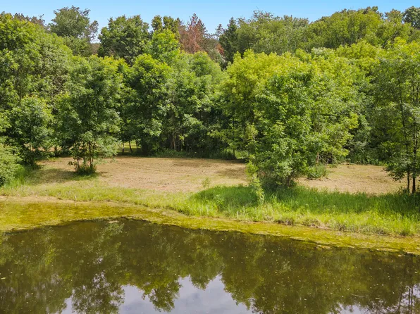 19600 Ivey Rd, Chelsea, MI 48118