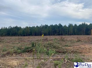 LOT 1B Daniels Ln, Bennettsville, SC 29512