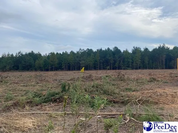 LOT 1B Daniels Ln, Bennettsville, SC 29512