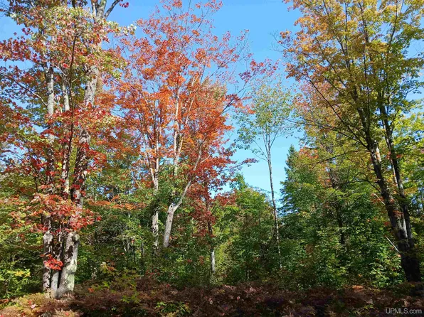 Baltic Onkalos Corner Rd, South Range, MI 49963