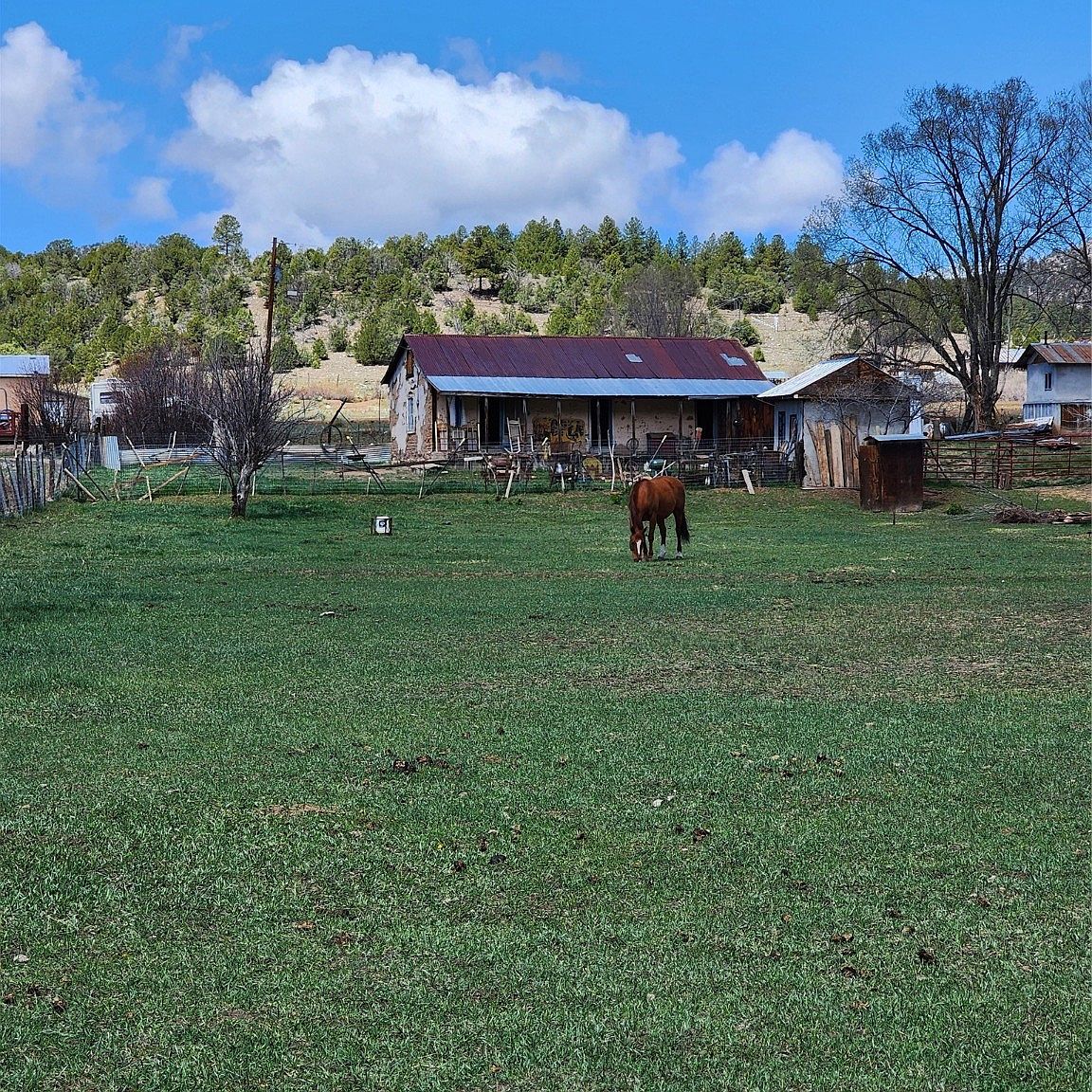 17 19 61/21 County Rd 251, Vallecitos, NM 87581 MLS 202401612 Zillow