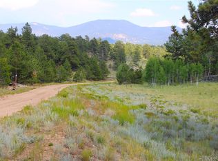 128 Shenandoah Path #102, Hartsel, CO 80449