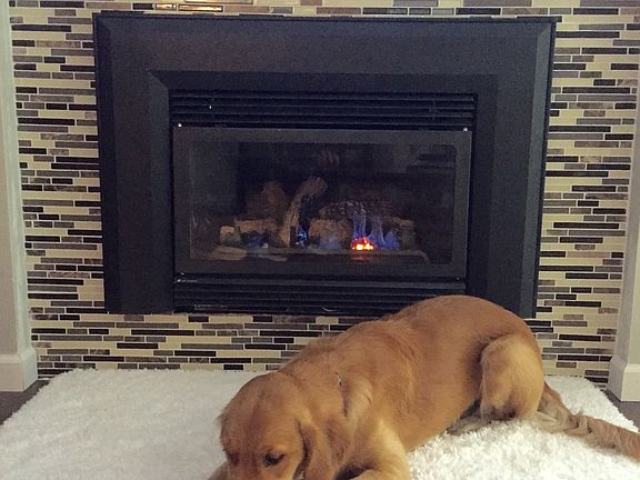 New gas fireplace