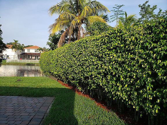 5th image of 13488 NW 6th Dr