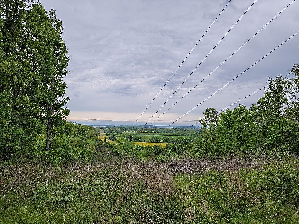 Bollinger County Rd 620, Zalma, MO 63787 Zillow