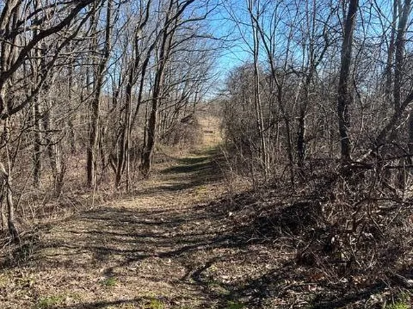 PARCEL W County Line Rd #A, Greenville, MI 48838