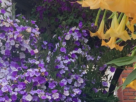 The entrance in spring