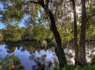 1113 N Riverhills Dr, Temple Terrace, FL 33617