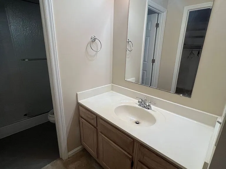 1319 Tranquility Ln — Photo 19