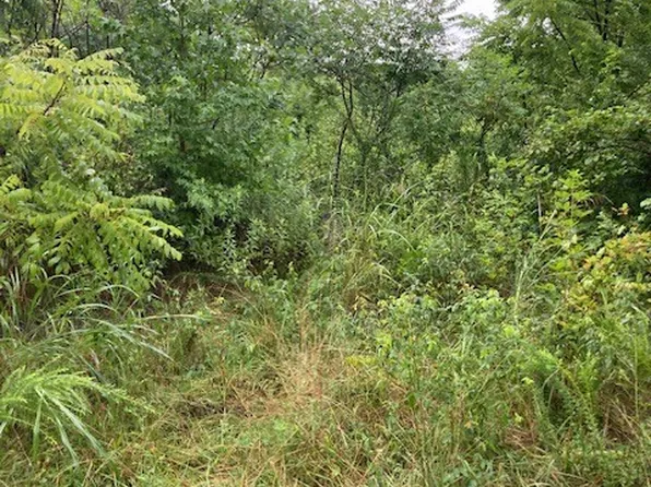 0 Lee Davidson Rd, Bon Aqua, TN 37025