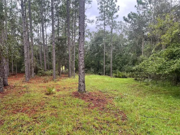 208 Wales St #104, Interlachen, FL 32148