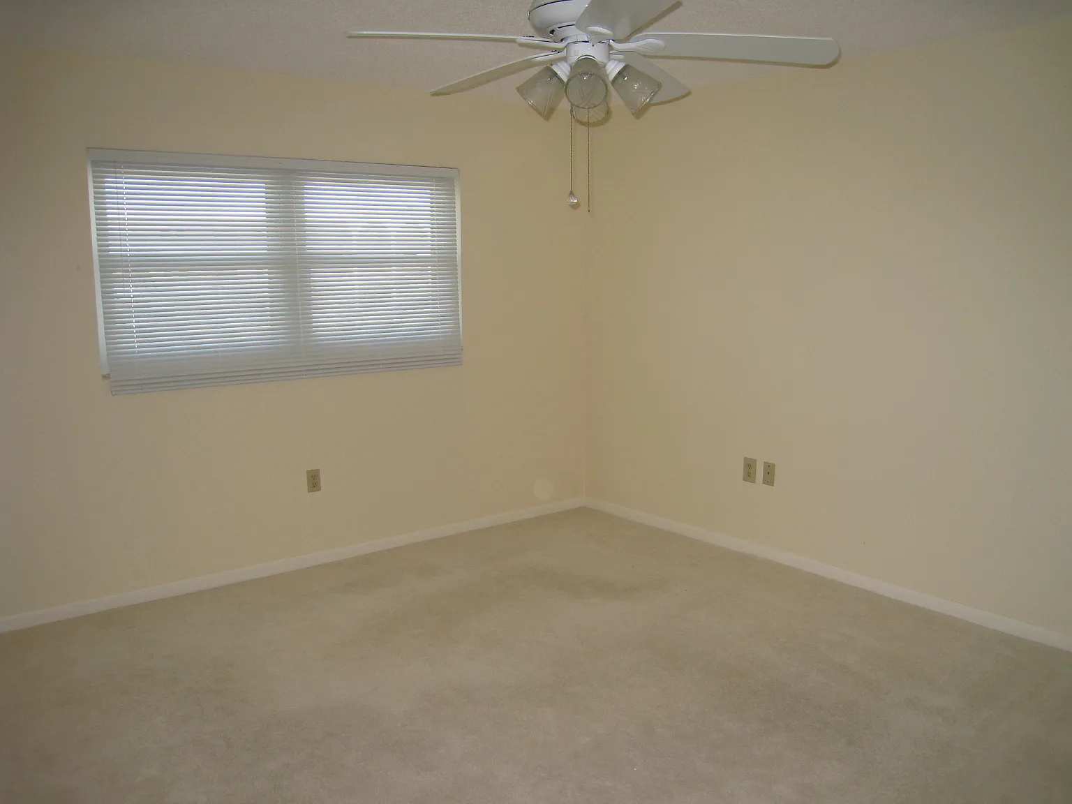 1 bed, 1.5 bath, 1050 sqft, $1,600 — Photo 4