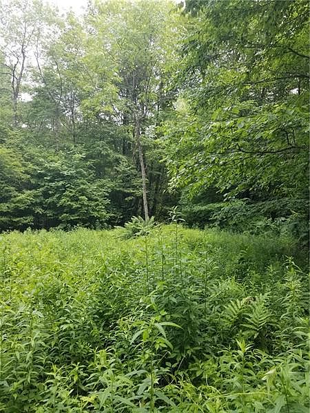 2nd image of 0000 Bloomster Hollow Rd