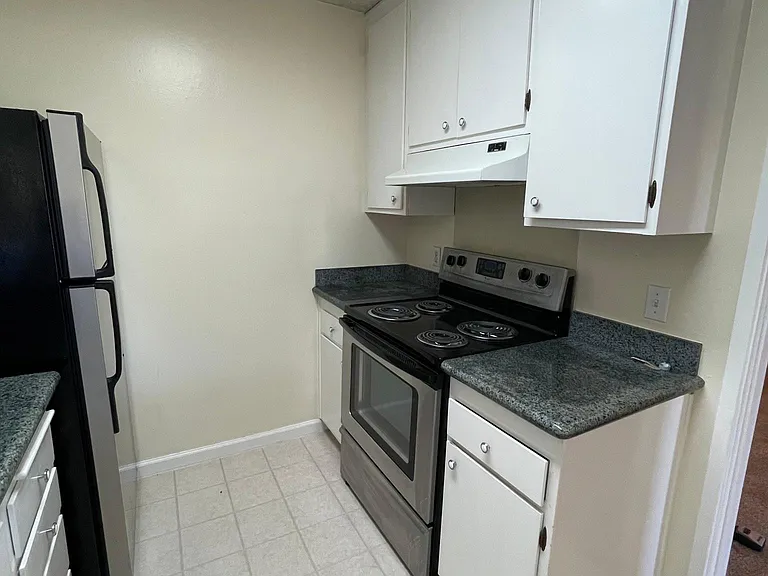 1101 Continentals Way #310 — Photo 10
