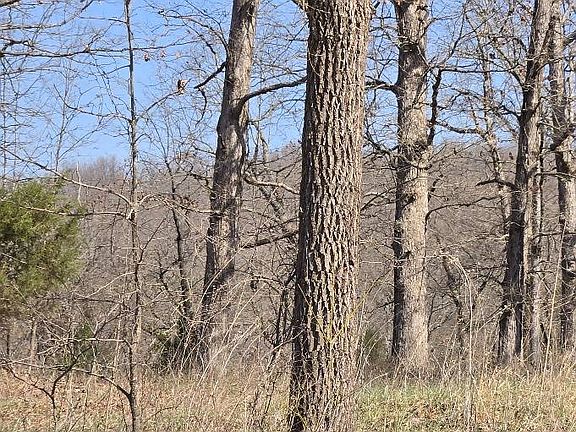 3rd image of 0 Riverside Dr