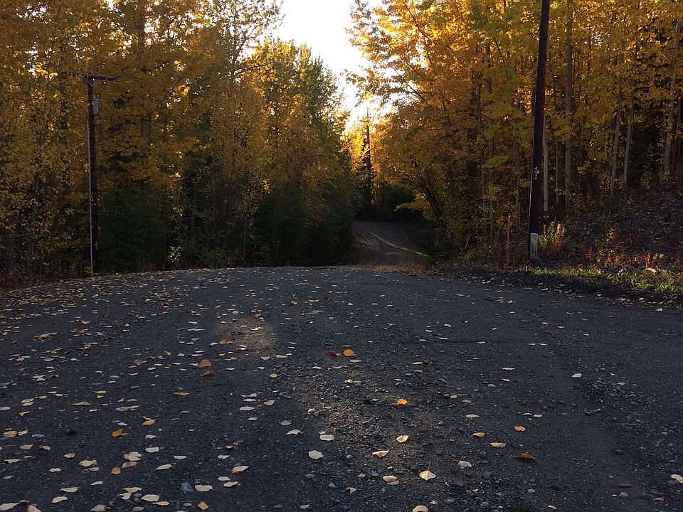 22076 E Oline Dr, Chickaloon, AK 99674 Zillow