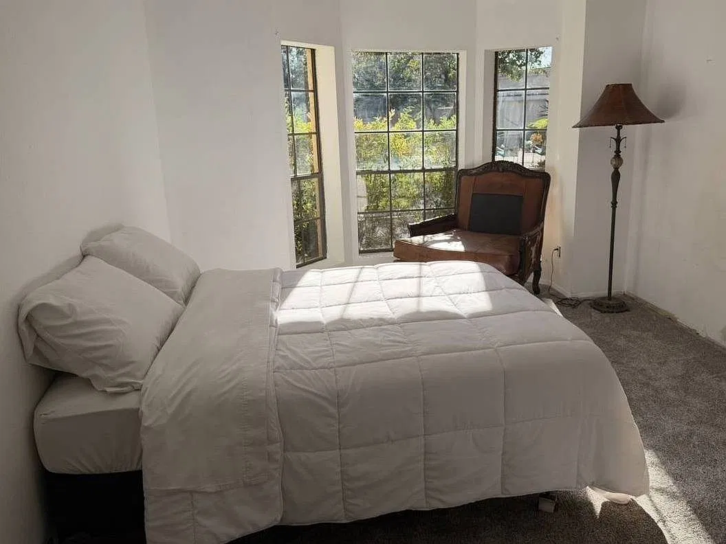 Studio, 400 sqft, $1,250 — Photo 2