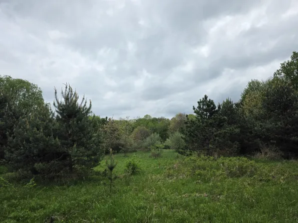 HOLTON Rd, Holton, MI 49425