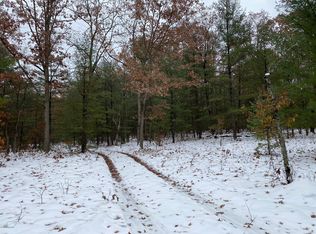 Star Lake Rd, Wellston, MI 49689