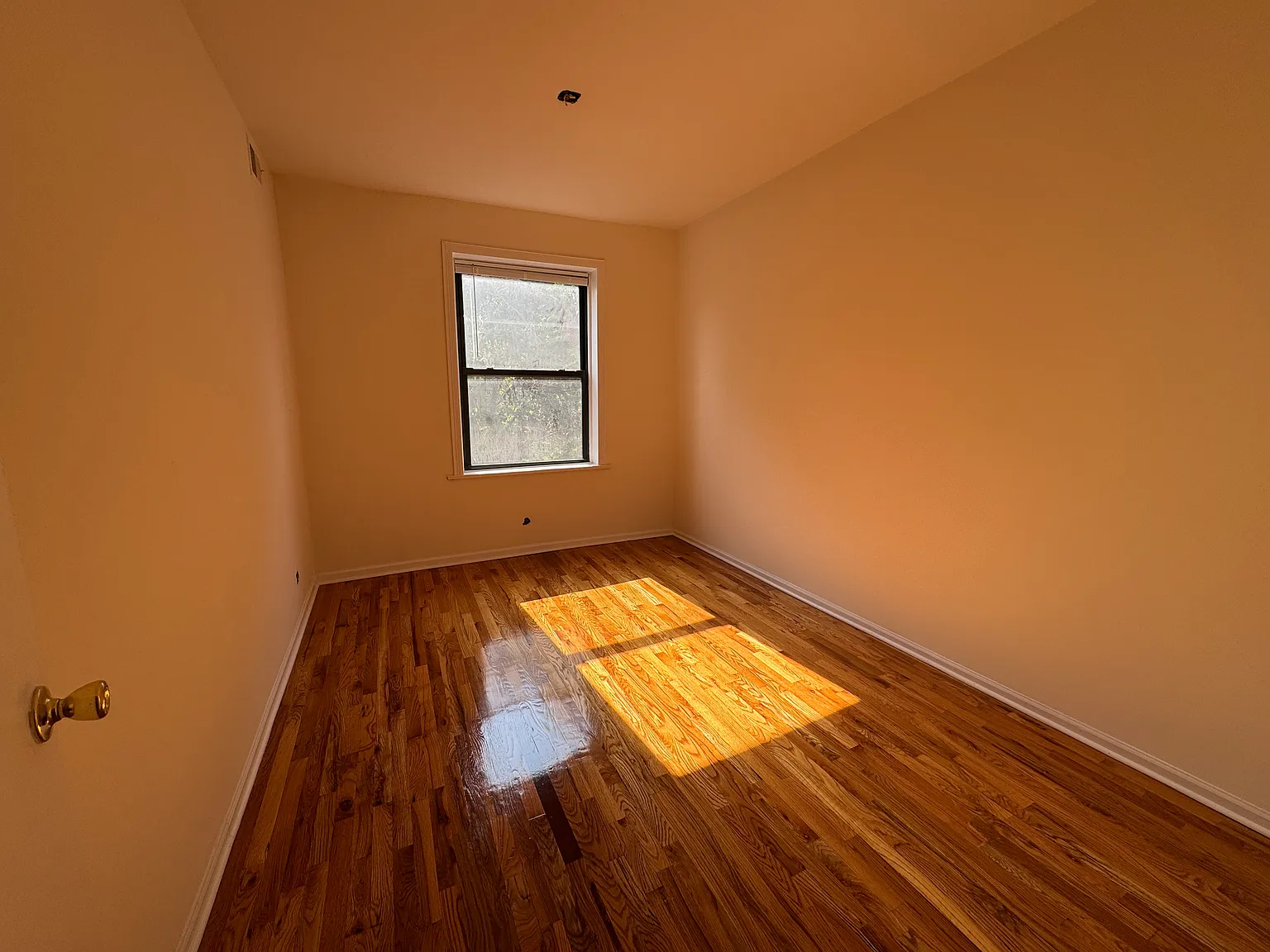 1 bed, $1,950 — Photo 4