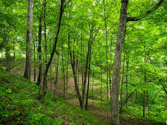 98th image of this home