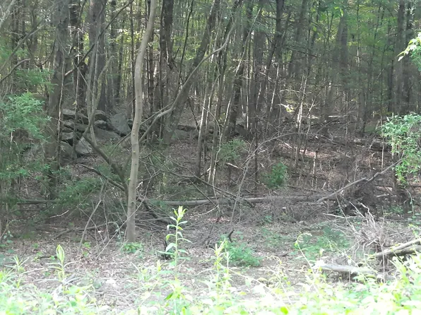 Lot 169A Kapitulik Road, Thompson, CT 06255