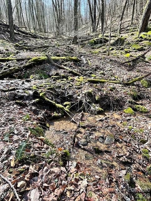 1st image of 106 Avalon Gap Trl