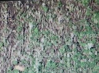 Holopaw Groves Rd, Saint cloud, FL 34771