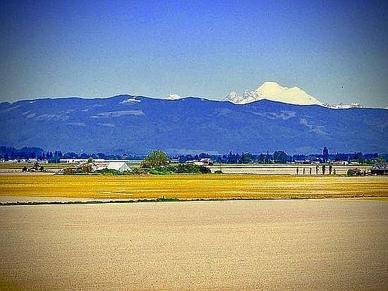 Views of farmland and Mount Baker